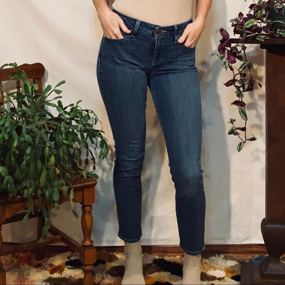 Pilcro and the Letterpress, Jeans